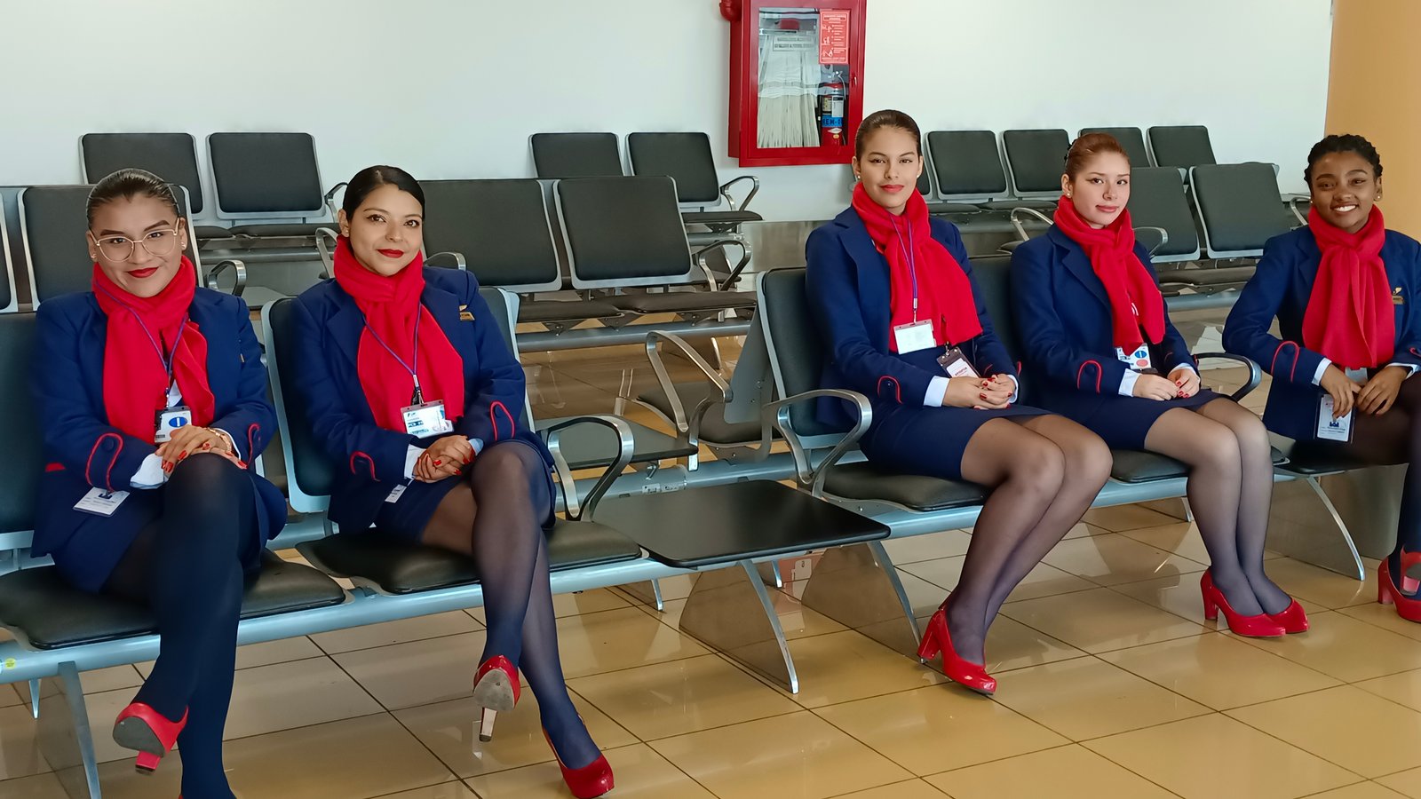 Primer plano de un oso marrón